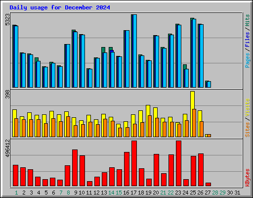 Daily usage for December 2024