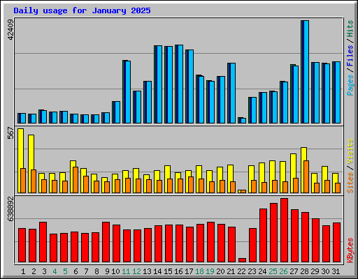 Daily usage for January 2025