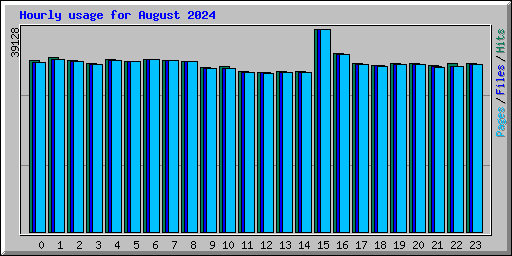 Hourly usage for August 2024