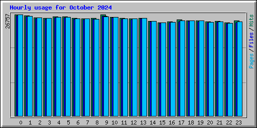 Hourly usage for October 2024