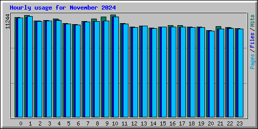 Hourly usage for November 2024