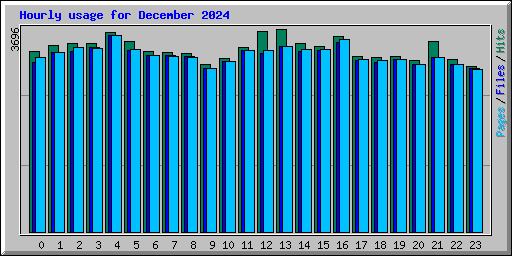 Hourly usage for December 2024