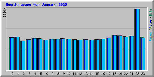 Hourly usage for January 2025