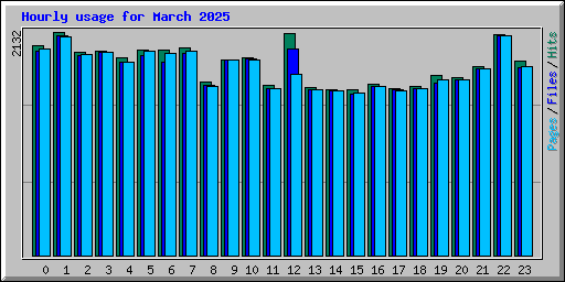 Hourly usage for March 2025