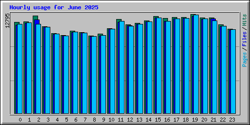 Hourly usage for June 2025