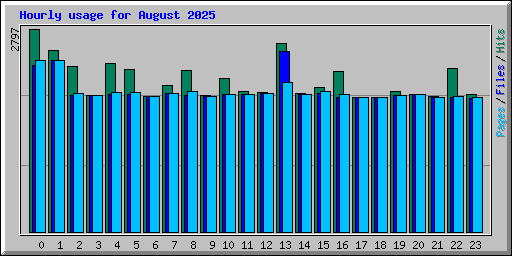 Hourly usage for August 2025