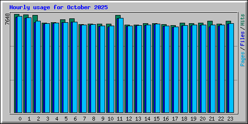 Hourly usage for October 2025