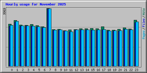 Hourly usage for November 2025