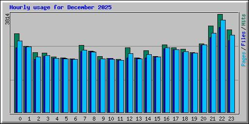 Hourly usage for December 2025