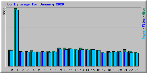 Hourly usage for January 2026